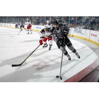 Eriah Hayes of the Chicago Wolves vs. the Grand Rapids Griffins