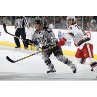 Pat Cannone of the Chicago Wolves vs. the Grand Rapids Griffins