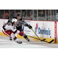 Justin Hodgman of the Chicago Wolves vs. the Grand Rapids Griffins