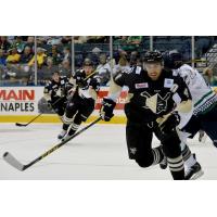 Wheeling Nailers Battle the Florida Everblades