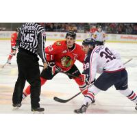 Portland Winterhawks Face off with the Tri-City Americans