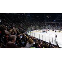 Corpus Christi IceRays from the Stands
