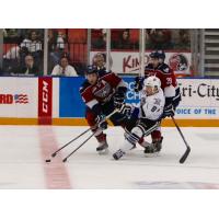 Tri-City Americans Battle the Victoria Royals