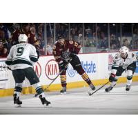 Eriah Hayes of the Chicago Wolves vs. the Iowa Wild