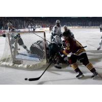 Evan Trupp of the Chicago Wolves Skates behind the Iowa Wild Net