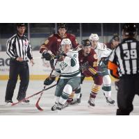 Chicago Wolves Defend the Iowa Wild