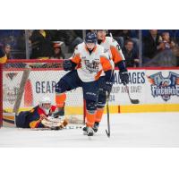 Flint Firebirds Celebrate a Goal vs. the Erie Otters