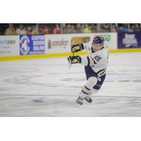 Sioux Falls Stampede Defenseman Joe Rutkowski