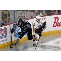 Chicago Wolves Defenseman Peter Harrold vs. the San Antonio Rampage