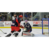 Brampton Beast vs. the Elmira Jackals