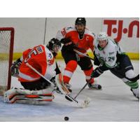 Danbury Titans and Danville Dashers Battle for the Puck