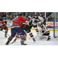 Brampton Beast Hold off the Kalamazoo Wings