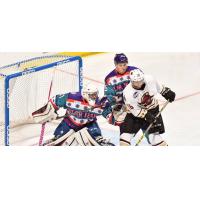 Atlanta Gladiators in Front of the Orlando Solar Bears Net