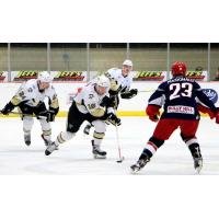 Wheeling Nailers Charge toward the Elmira Jackals
