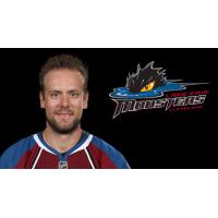 Lake Erie Monsters Defenseman Jan Hejda