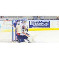 Norfolk Admirals Goaltender Ty Rimmer