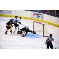 Luke Kasteel with the Louisiana IceGators vs. the Mississippi RiverKings