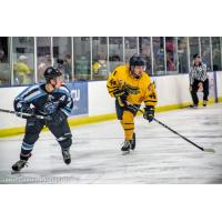 Springfield Jr. Blues Skate against the Coulee Region Chill
