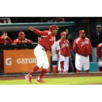 Miguel Ojeda Managing the Diablos Rojos in the Mexican League