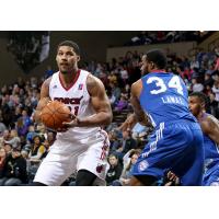 Sioux Falls Skyforce Forward/Center Jarnell Stokes