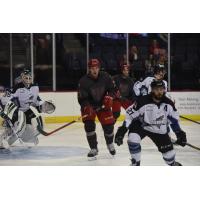 Allen Americans in Front of Idaho Steelheads Net