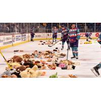 Orlando Solar Bears Clean up after Teddy Bear Toss