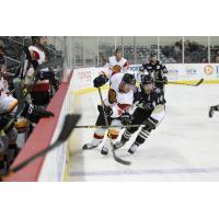 Wheeling Nailers vs. Indy Fuel