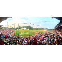 A Packed House at Fifth Third Bank Ballpark, Home of the Kane County Cougars