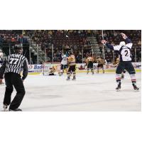 Windsor Spitfires Celebrate Goal vs. Sarnia Sting