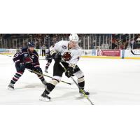 Atlanta Gladiators Control the Puck vs. the South Carolina Stingrays