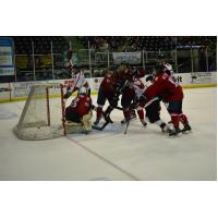 Corpus Christi IceRays Battle the Amarillo Bulls