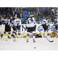 Lone Star Brahmas Teddy Bear Toss