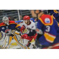Matt Harlow with the Elmira Jackals