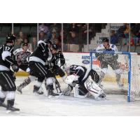 Manchester Monarchs Battle Adirondack Thunder for the Puck