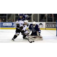Atlanta Gladiators Shoot against the Orlando Solar Bears