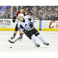 Lake Erie Monsters Skate against the Chicago Wolves