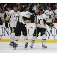 Wheeling Nailers Celebrate a Goal