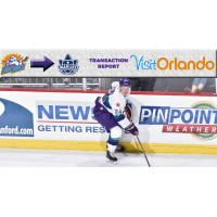 Orlando Solar Bears Forward Jack Rodewald