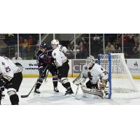 Atlanta Gladiators Defend against the South Carolina Stingrays