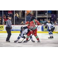 Allen Americans Face off with the Idaho Steelheads