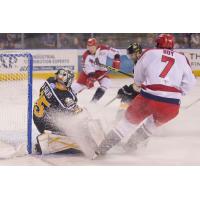 Allen Americans Test Colorado Eagles Goalkeeper
