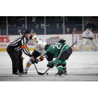 Chicago Wolves LW Spencer Asuchak Faces off with the Texas Stars