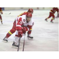 Port Huron Prowlers Control the Puck vs. the Dayton Demolition