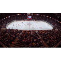 FirstOntario Centre, Home of the Hamilton Bulldogs
