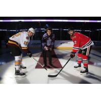 Chicago Wolves Face off with the Rockford IceHogs