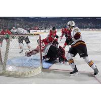Chicago Wolves Storm the Rockford IceHogs Net