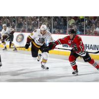 Chicago Wolves LW Yannick Veilleux vs. the Rockford IceHogs