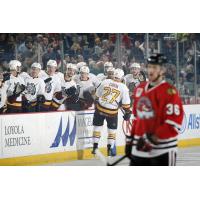 Chicago Wolves Bench Celebrates vs. the Rockford IceHogs