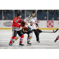 Chicago Wolves C Ivan Barbashev Battles Past the Rockford IceHogs