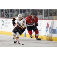 Chicago Wolves F Evan Trupp Controls the Puck vs. the Rockford IceHogs